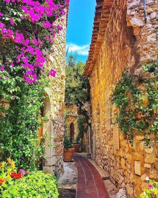 Studio Au Calme, Avec Terrasse Et Parking A Eze Village 外观 照片
